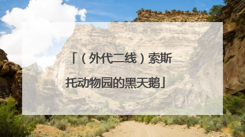 （外代二线）索斯托动物园的黑天鹅